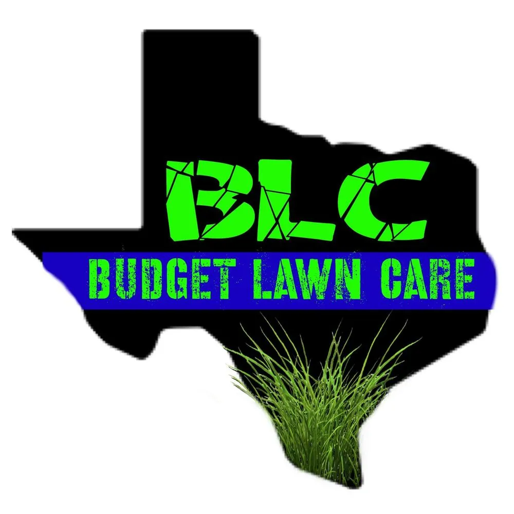 Professional yard cleanup service experts serving Waco, TX - Budget Lawn Care