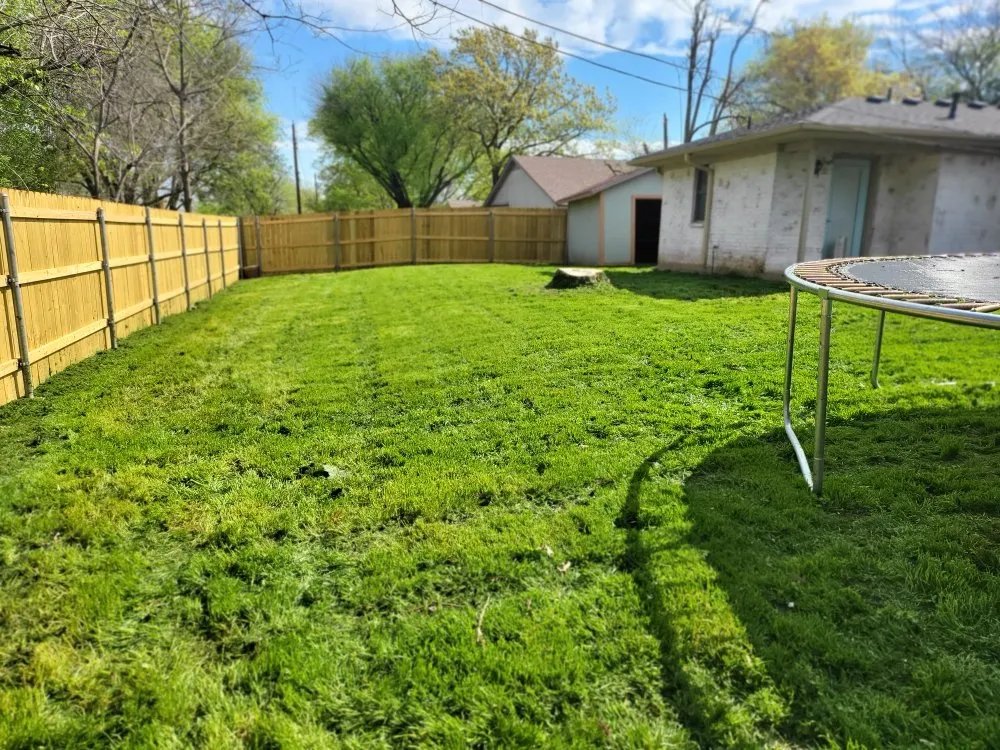 Custom landscape design in Waco, TX by Budget Lawn Care