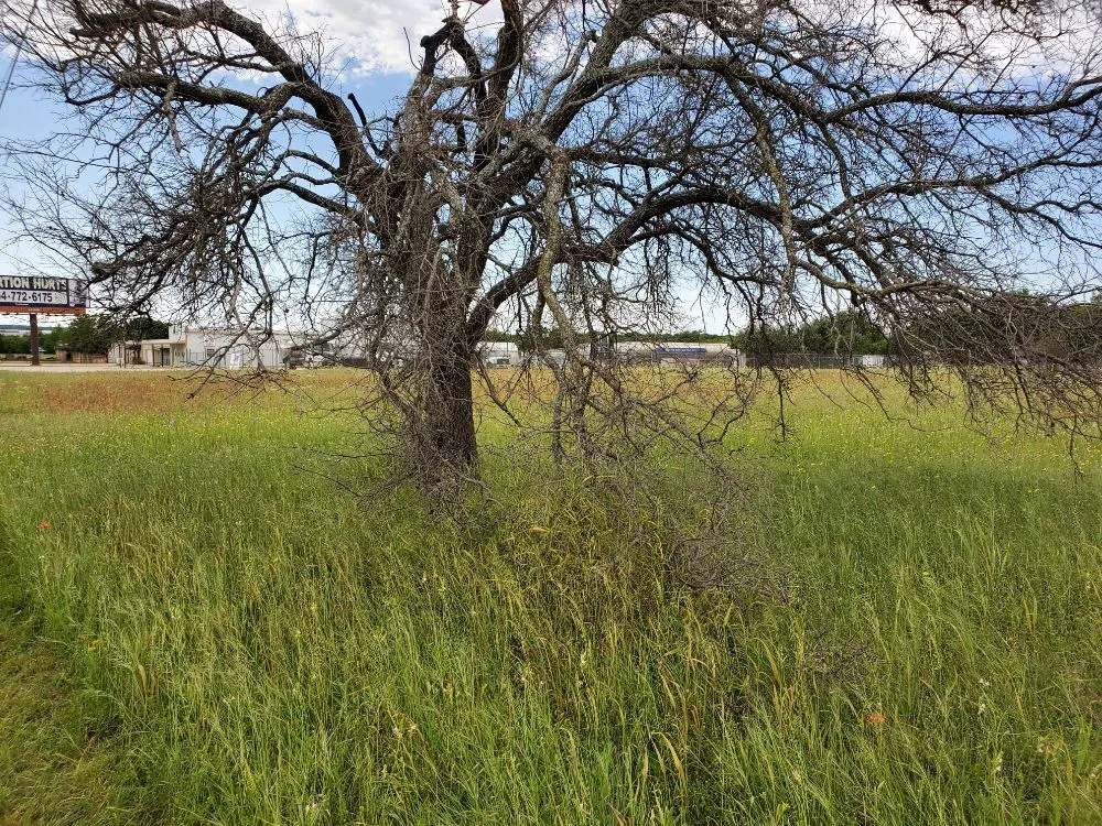 Reliable residential landscaping with custom design in Waco, TX by Budget Lawn Care