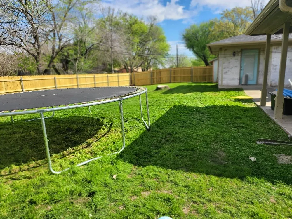 Reliable landscaping services for homes across Waco, TX - Budget Lawn Care