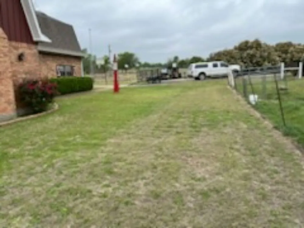 Trusted yard cleanup service in Waco, TX - Budget Lawn Care