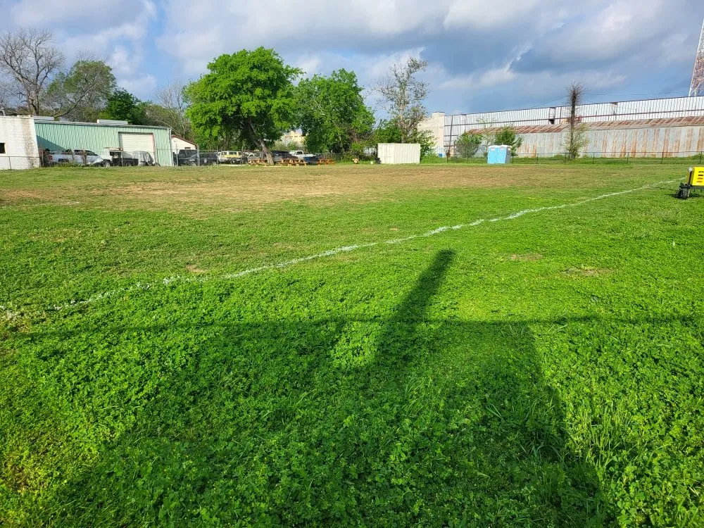 Top-rated landscaping services in Waco, TX by Budget Lawn Care