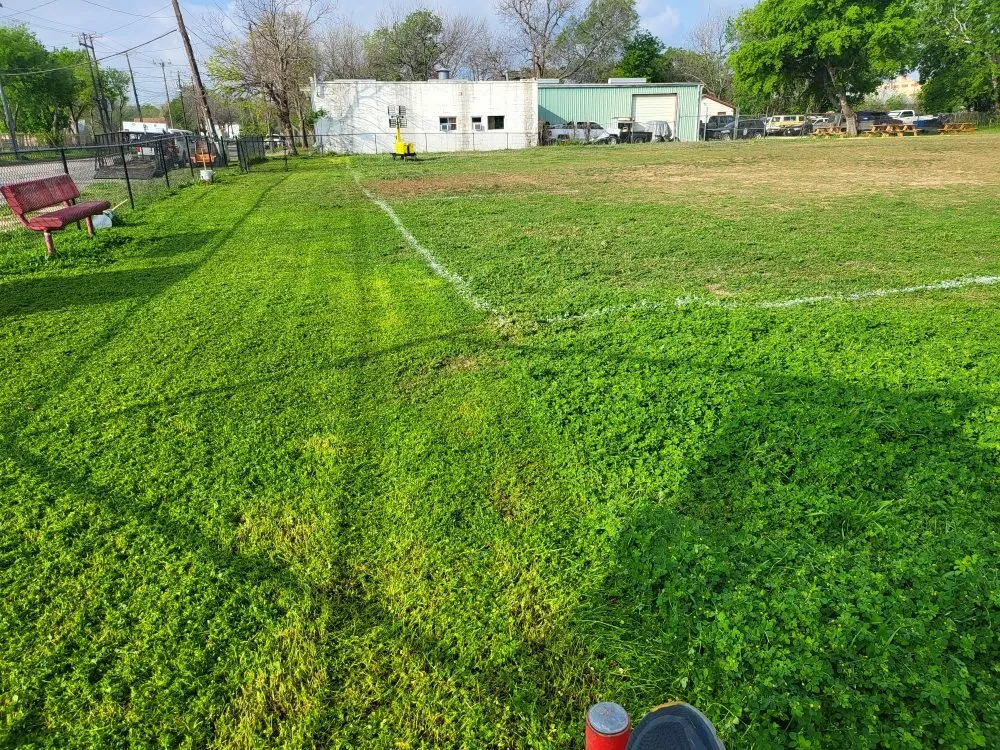 Local residential landscaping for beautiful yards in Waco, TX by Budget Lawn Care