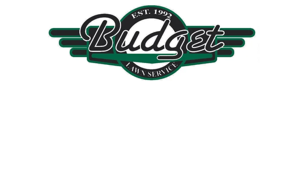 Expert lawn care service in Allen Park, MI by Budget Lawn Service