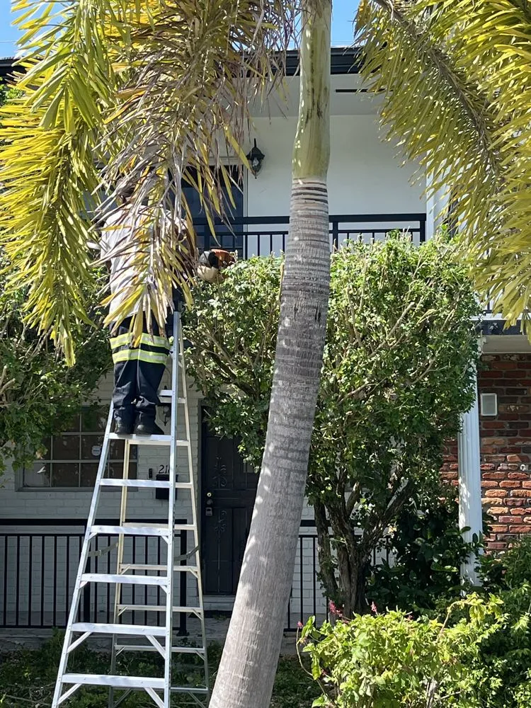 Custom landscaping services in Miami, FL - Budget lawn service