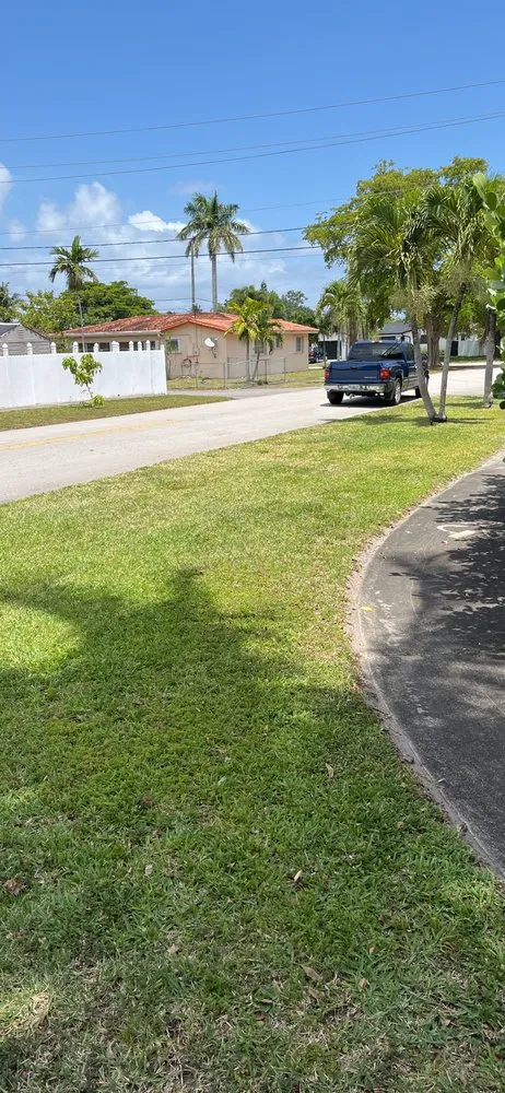 Professional landscaping services in Miami, FL by Budget lawn service