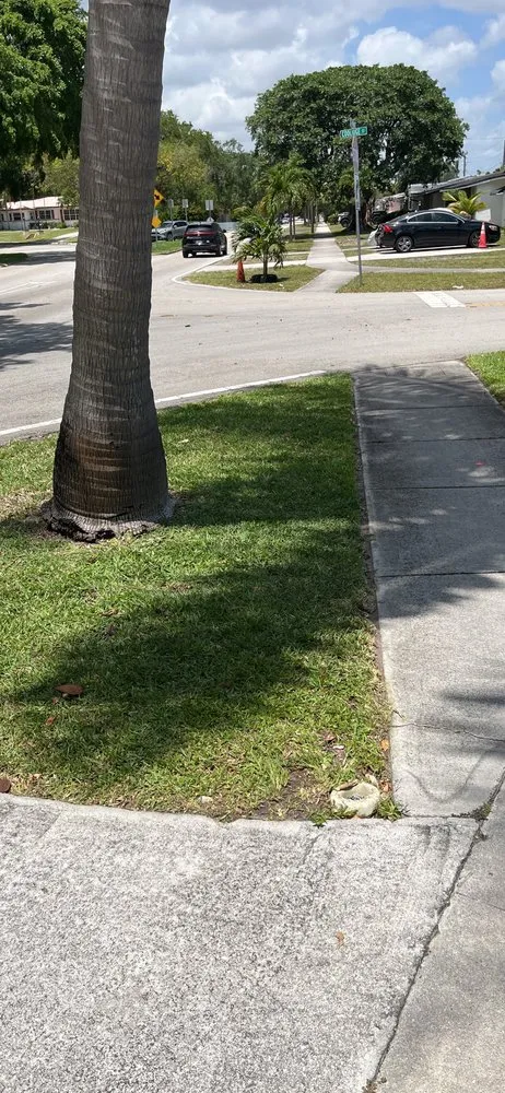 Custom outdoor landscaping in Miami, FL by Budget lawn service