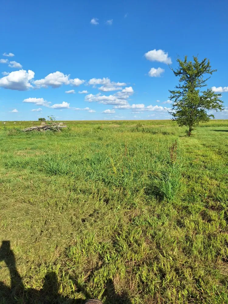 Local yard maintenance for beautiful yards in Whitney, TX by Budget Lawn Service