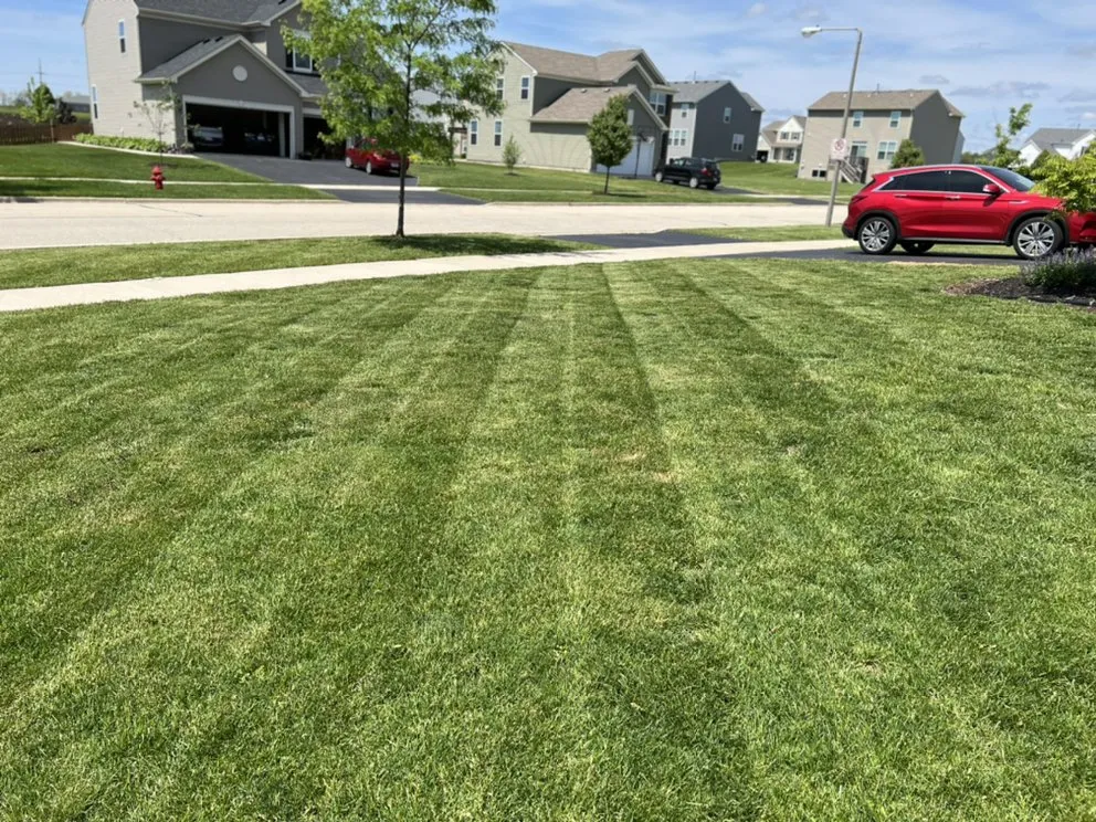 Local outdoor landscaping for beautiful yards in Yorkville, IL by Budget Lawn Services