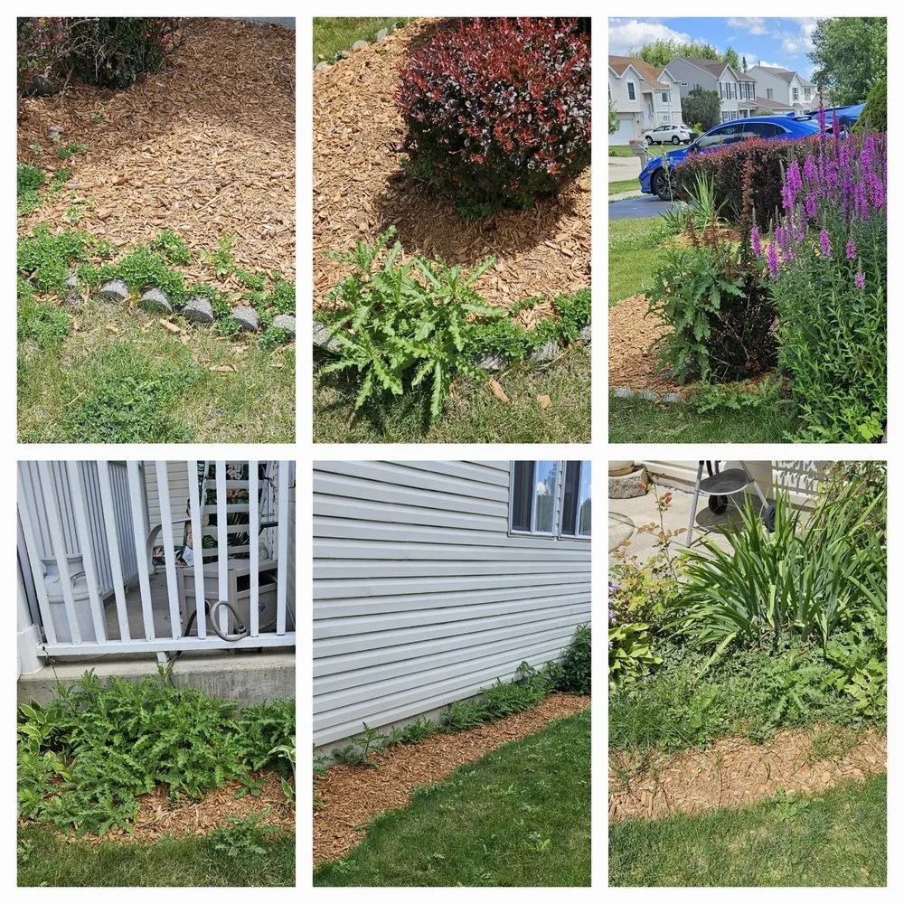 Reliable residential landscaping in Yorkville, IL by Budget Lawn Services