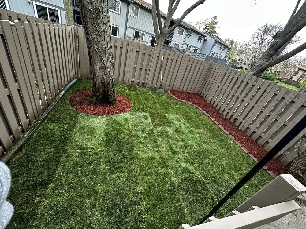 Top-rated lawn care service near you in Yorkville, IL by Budget Lawn Services