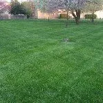 Reliable residential landscaping with custom design in Sedgwick, KS by Budget Lawn Solutions