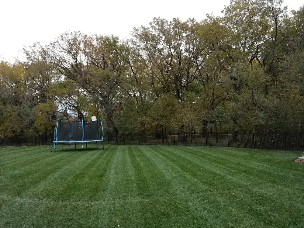 Reliable yard maintenance near you across Sedgwick, KS - Budget Lawn Solutions