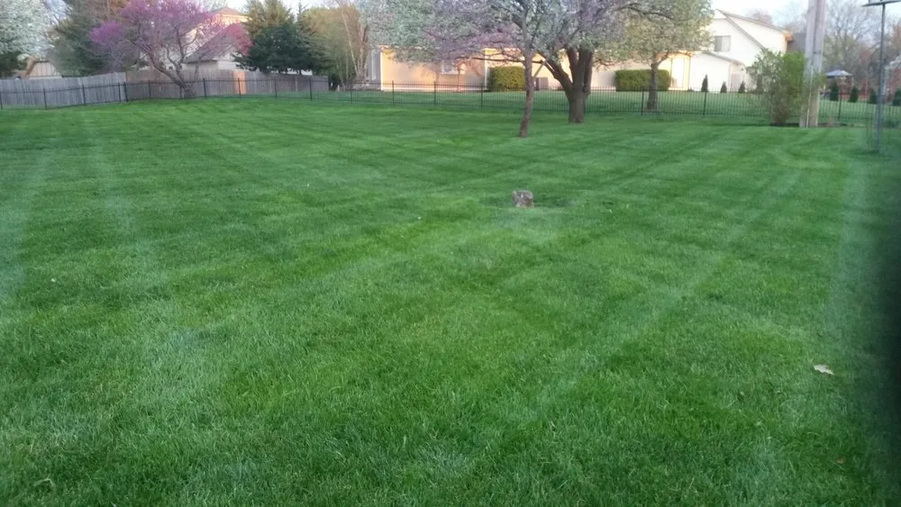 Local landscaping services experts serving Sedgwick, KS - Budget Lawn Solutions