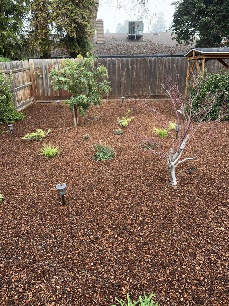 Reliable outdoor landscaping near you across Tulare, CA - Budget lawnscapes