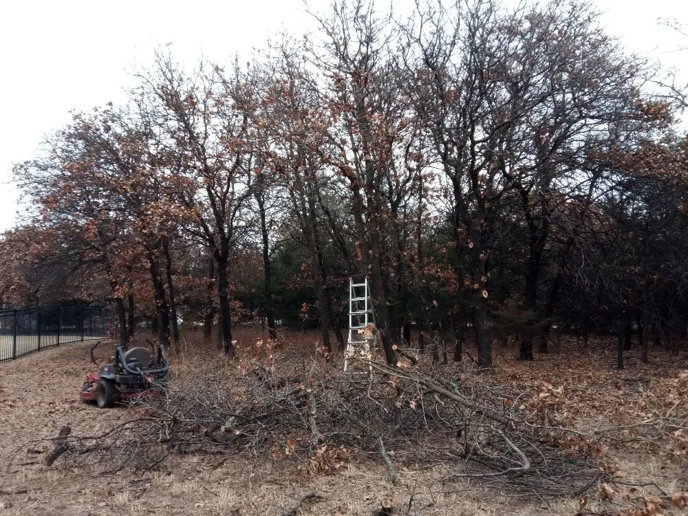 Top-rated landscape design near you in Oklahoma City, OK by Budget maintenance and repair