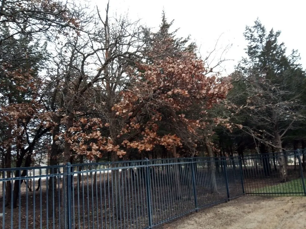 Professional lawn mowing service for residential properties across Oklahoma City, OK - Budget maintenance and repair