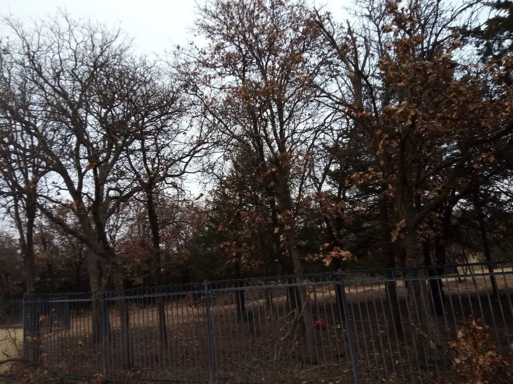 Local landscape design experts serving Oklahoma City, OK - Budget maintenance and repair