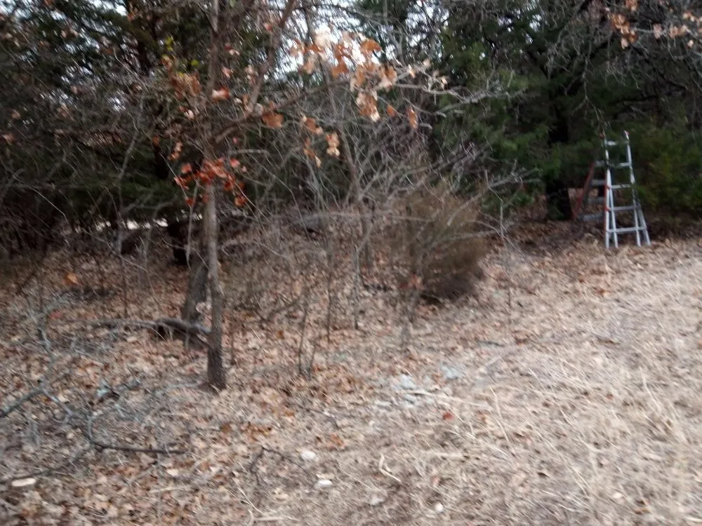 Professional garden landscaping with custom design across Oklahoma City, OK - Budget maintenance and repair