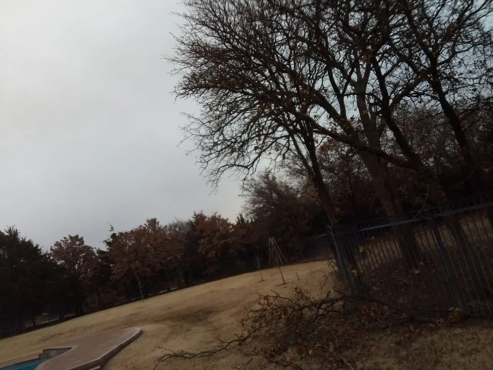 Trusted landscaping services for beautiful yards in Oklahoma City, OK by Budget maintenance and repair