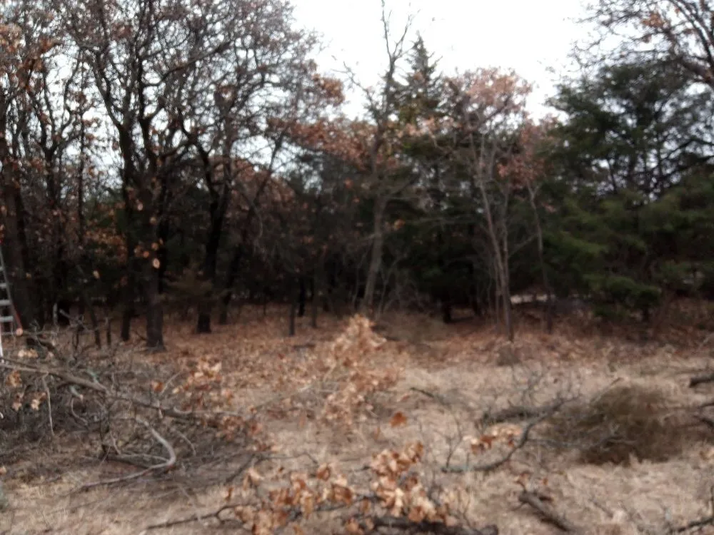 Custom lawn mowing service for beautiful yards across Oklahoma City, OK - Budget maintenance and repair