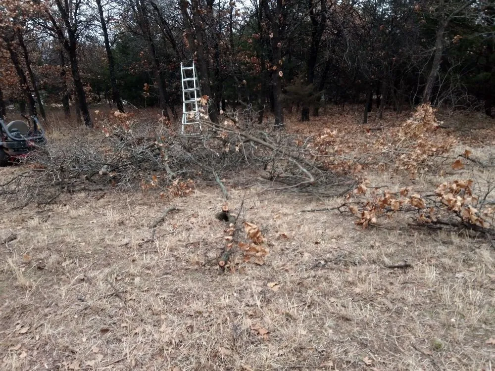 Reliable outdoor landscaping in Oklahoma City, OK - Budget maintenance and repair