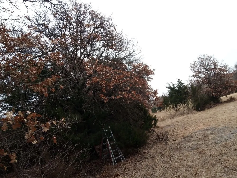 Reliable residential landscaping in Oklahoma City, OK - Budget maintenance and repair