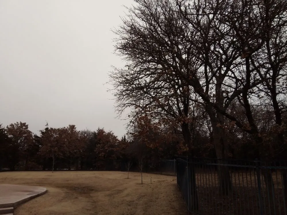 Custom garden landscaping in Oklahoma City, OK - Budget maintenance and repair