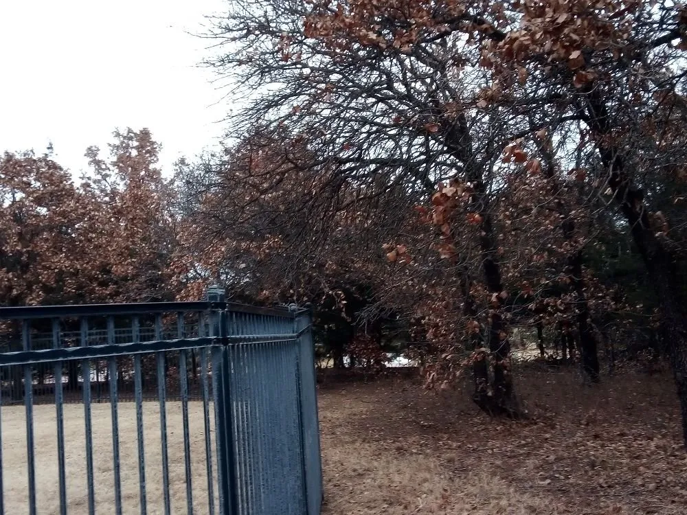 Trusted landscape installation in Oklahoma City, OK - Budget maintenance and repair