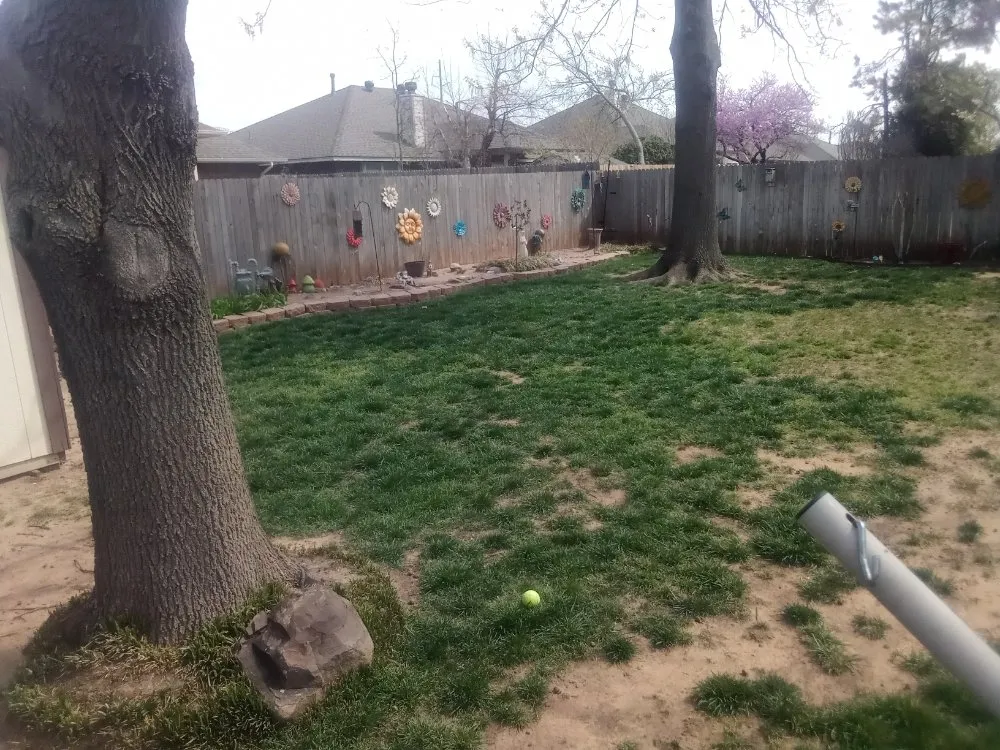 Local landscaping services in Oklahoma City, OK - budget mow