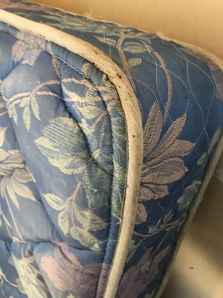 Custom lawn care service for homes in Idaho Falls, ID by Budget Pest Control Spray Service