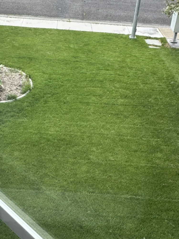Custom lawn care service near you in Idaho Falls, ID by Budget Pest Control Spray Service