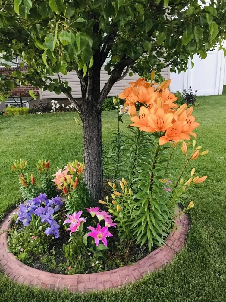 Reliable yard maintenance with custom design in Idaho Falls, ID by Budget Pest Control Spray Service