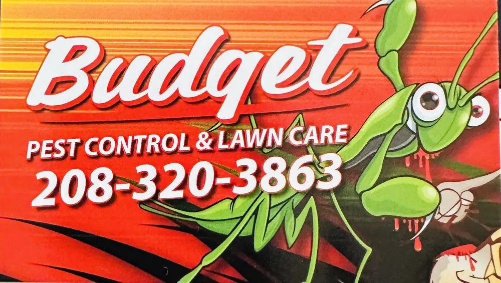 Top-rated residential landscaping in Idaho Falls, ID - Budget Pest Control Spray Service