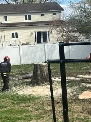 Budget Property Maintenance