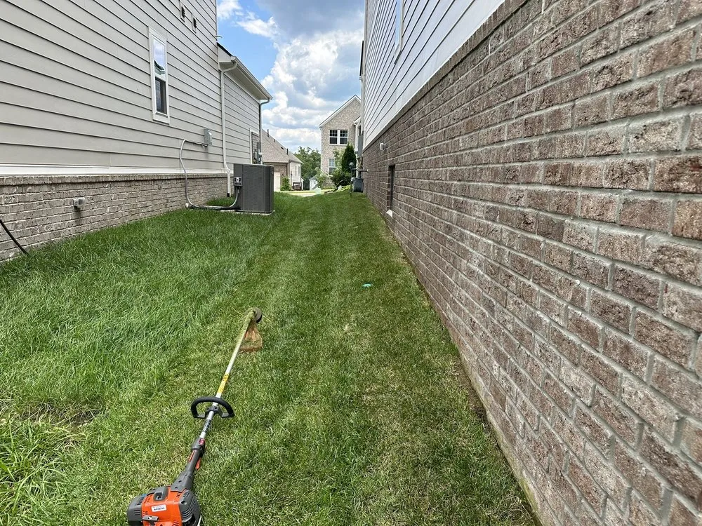 Top-rated landscape installation for homes across White House, TN - Budget Services