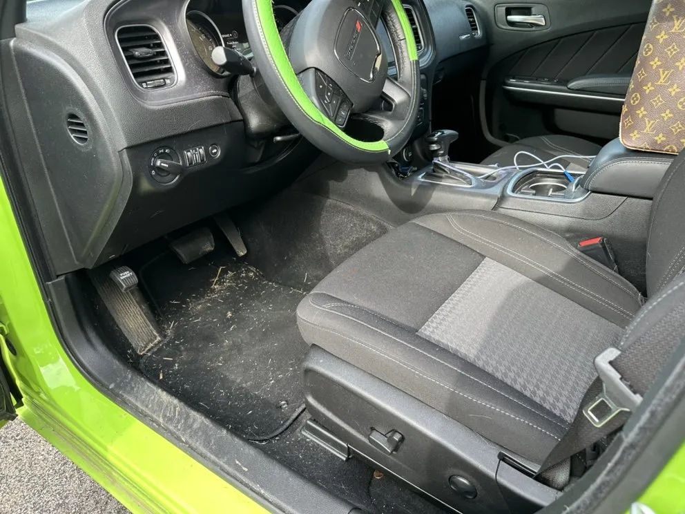 Professional landscape installation experts serving White House, TN - Budget Services