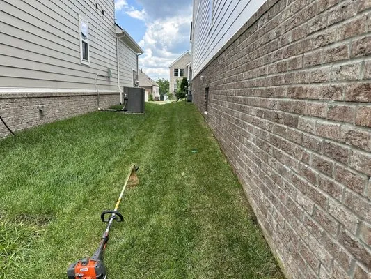 Budget Services Logo