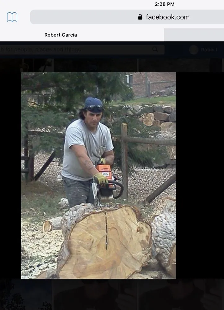 Custom yard maintenance in Arvada, CO by Budget tree & shrub service