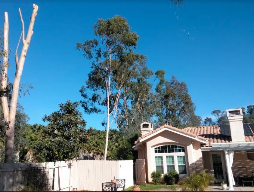 Trusted garden landscaping for residential properties across Bonsall, CA - Budget Tree Service