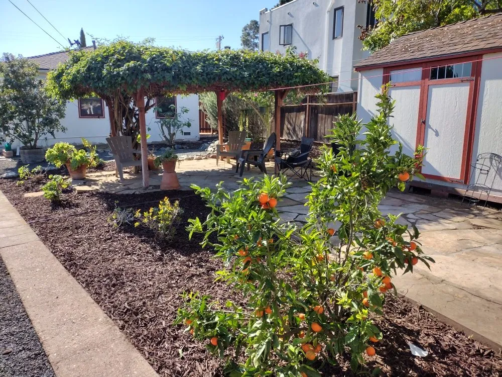 Expert garden landscaping for residential properties in Bonsall, CA by Budget Tree Service