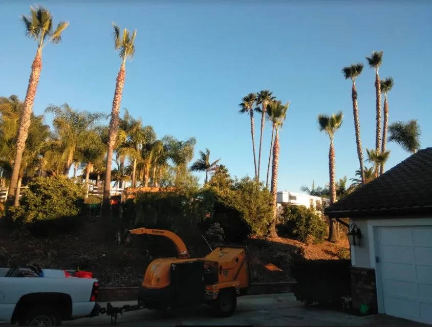 Trusted landscape installation with custom design in Bonsall, CA by Budget Tree Service