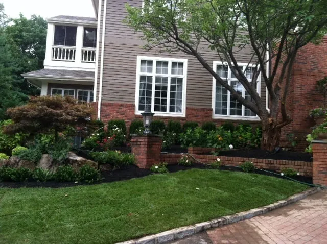 Reliable lawn care service in Westbury, NY by Budget Tree Service