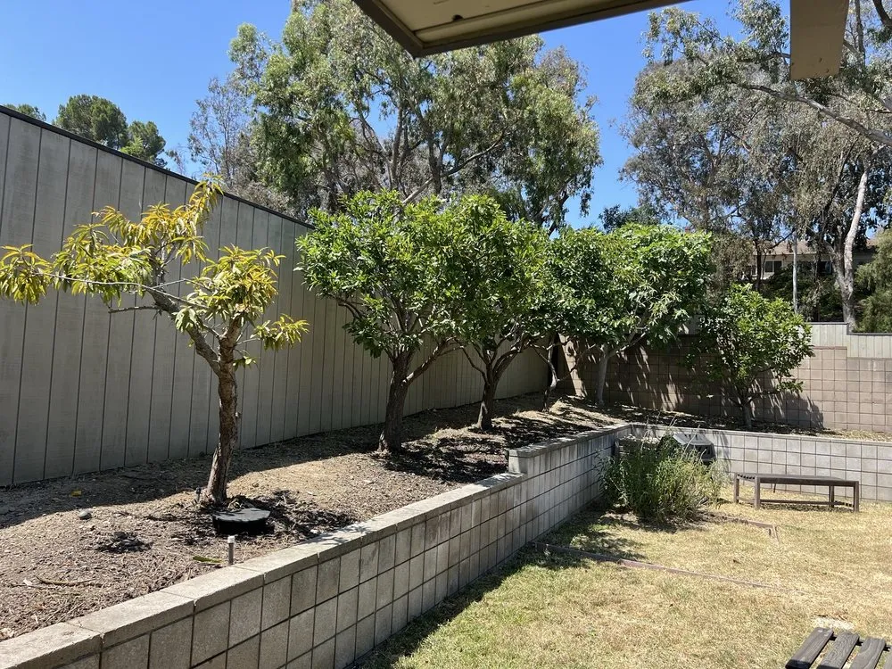 Reliable yard maintenance near you across Westlake Village, CA - Budget Tree Service