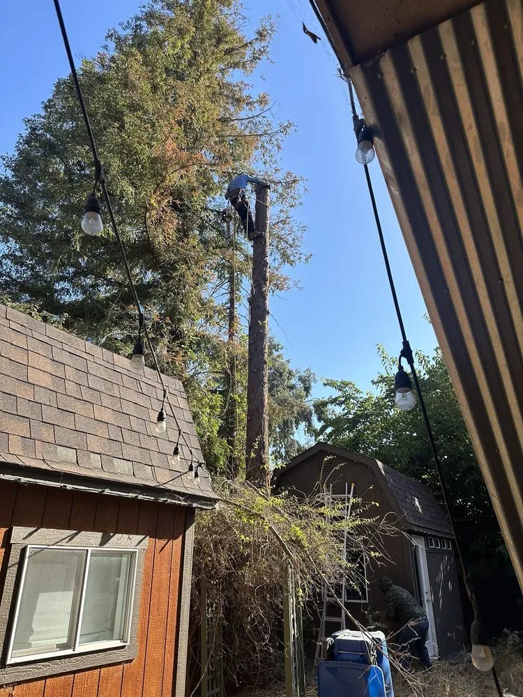 Custom residential landscaping for year-round maintenance across Westlake Village, CA - Budget Tree Service