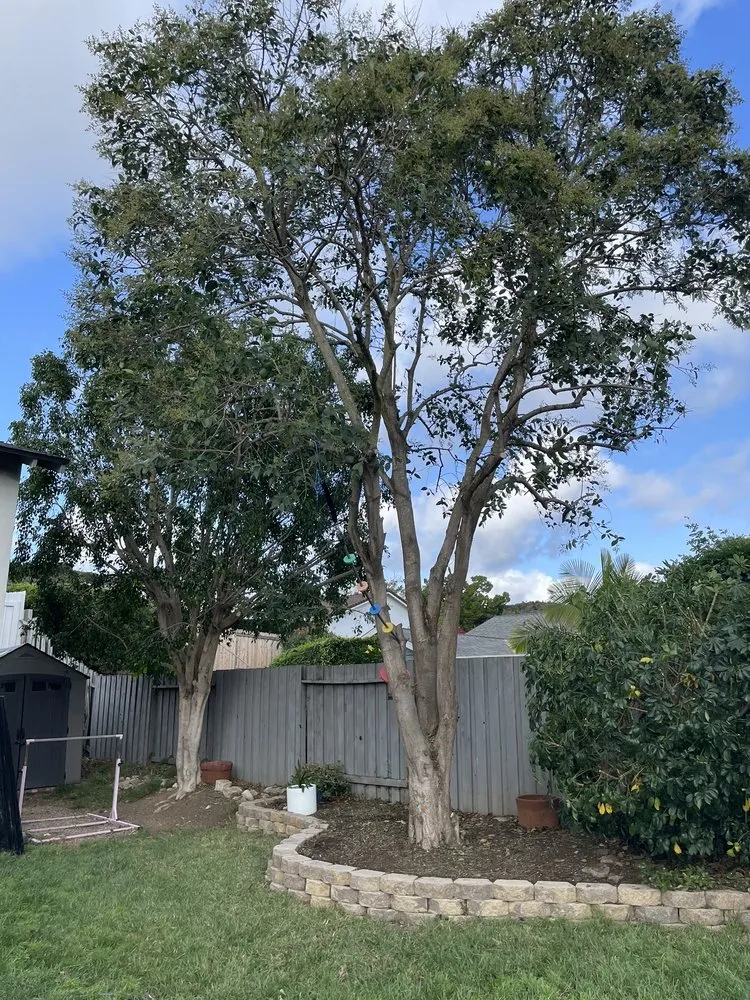 Reliable residential landscaping in Westlake Village, CA by Budget Tree Service