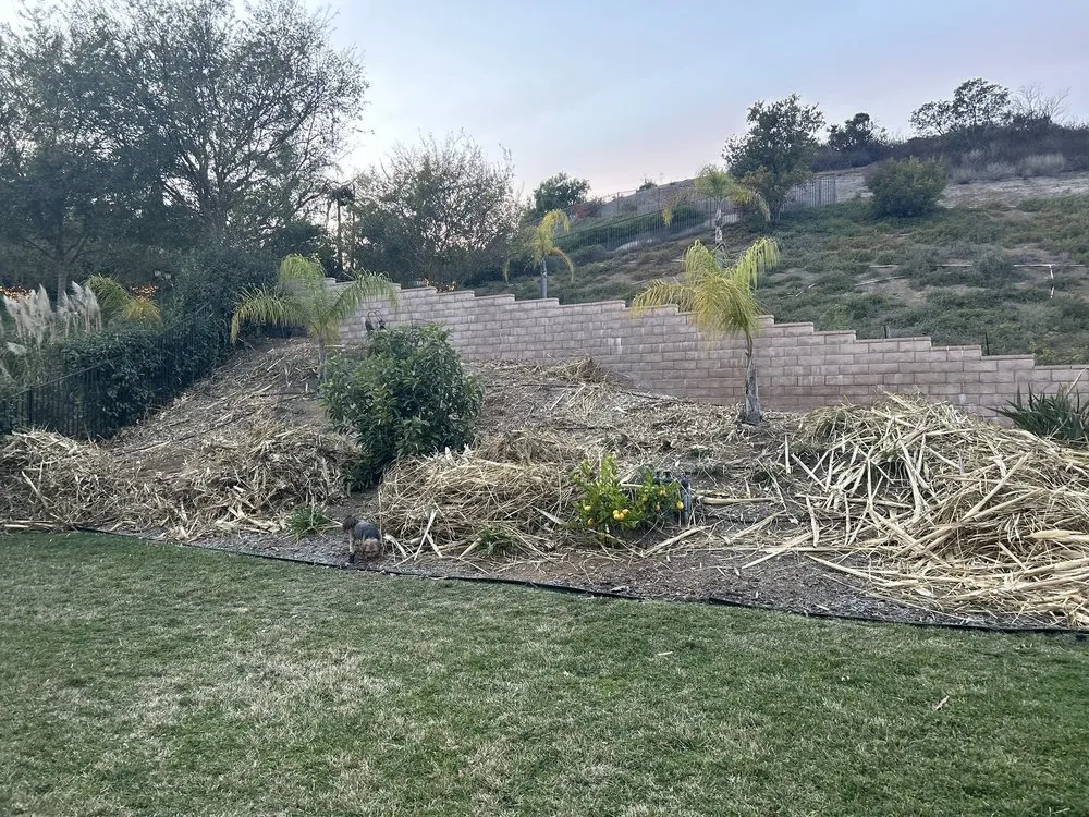 Affordable landscape design experts serving Westlake Village, CA - Budget Tree Service