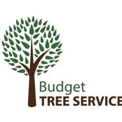 Professional lawn mowing service in Westlake Village, CA - Budget Tree Service