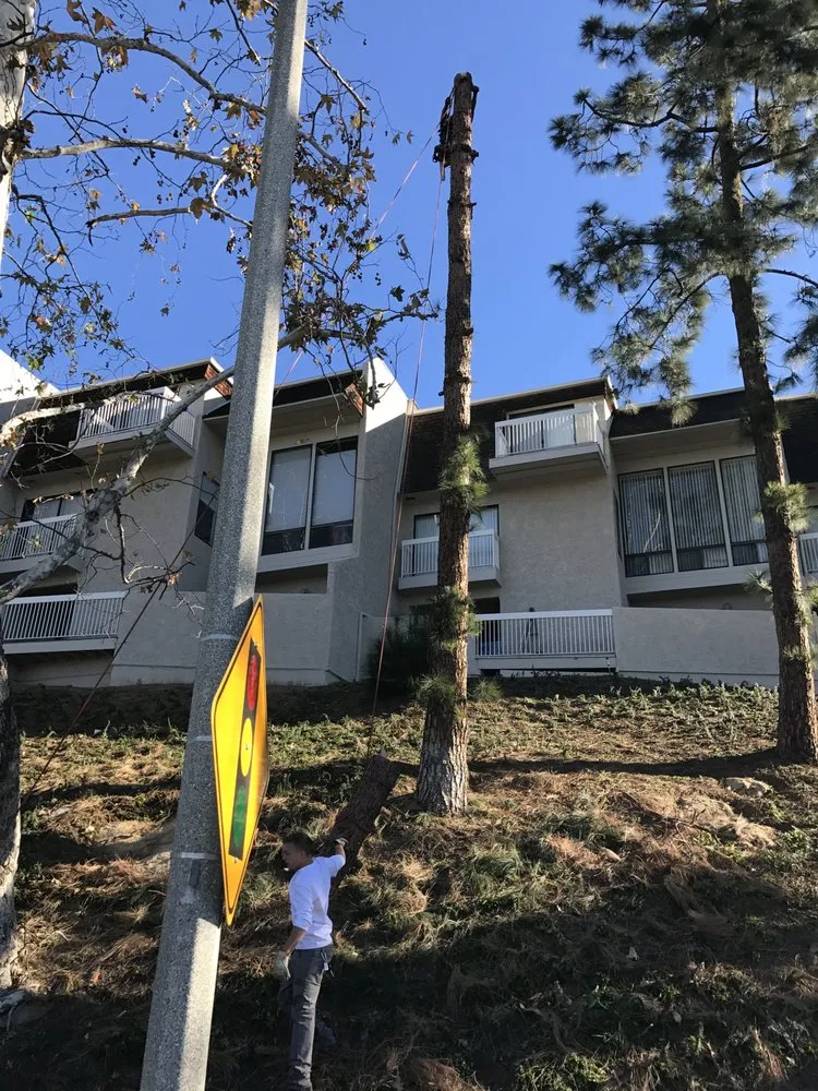 Affordable lawn mowing service in Westlake Village, CA by Budget Tree Service