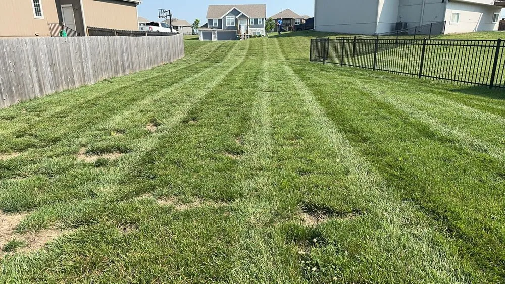 Expert yard cleanup service for outdoor upgrades in Leavenworth, KS by Budke Lawn Care